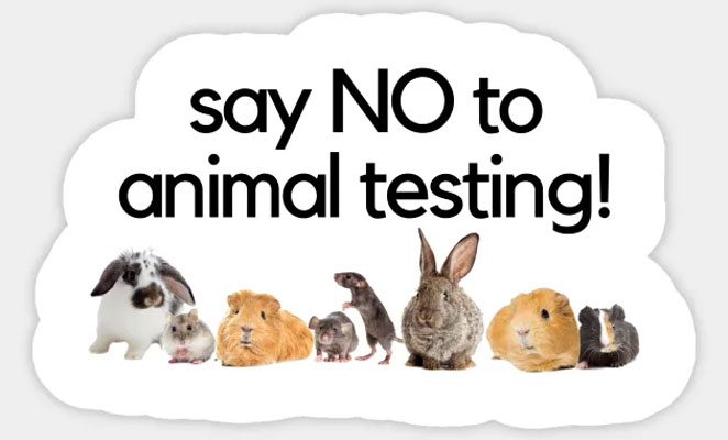 Cruelty Free Products at Go Setu