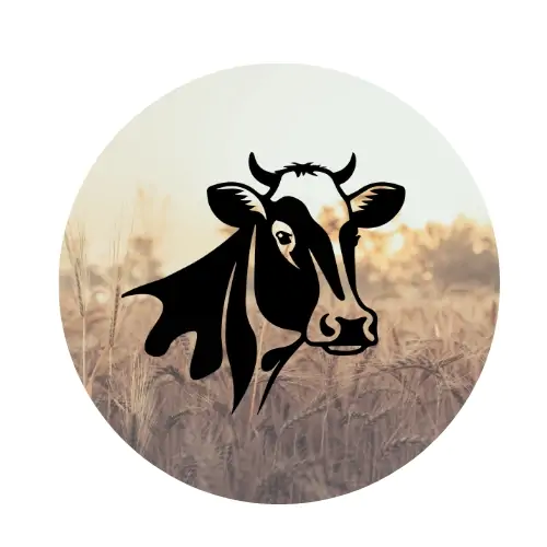 Cow Dung
