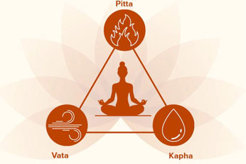 Helps Maintain Dosha Balance