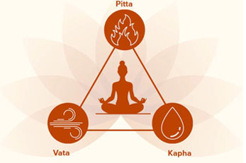 Balances Vata & Pitta