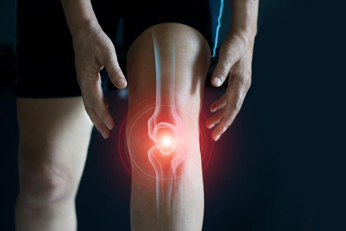 Promotes Bone and Joint Health