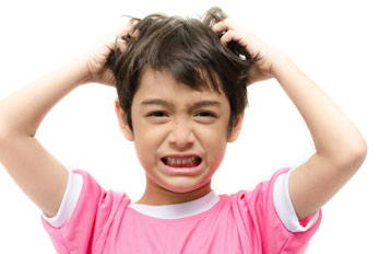 Cure itching of head