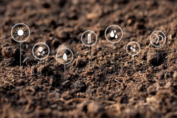 Enhance Soil Microbial Health