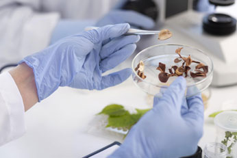 Time-Tested Ingredients